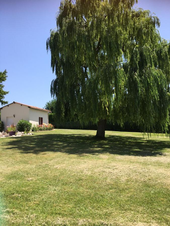 לינה וארוחת בוקר Cadalen Domaine De La Vigne מראה חיצוני תמונה