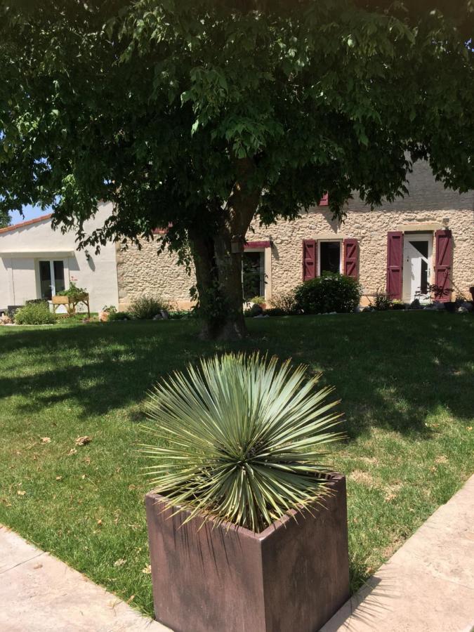 לינה וארוחת בוקר Cadalen Domaine De La Vigne מראה חיצוני תמונה