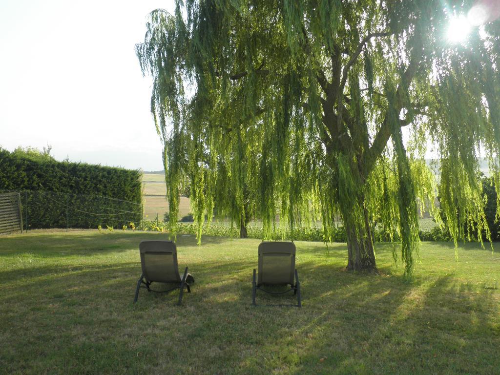 לינה וארוחת בוקר Cadalen Domaine De La Vigne מראה חיצוני תמונה